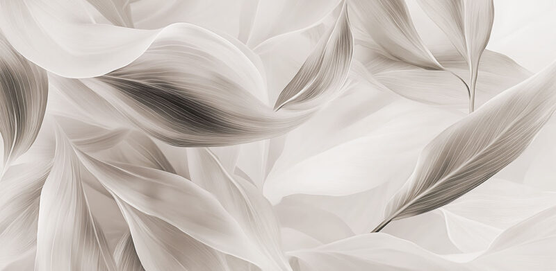 VIBRA - immagine 2