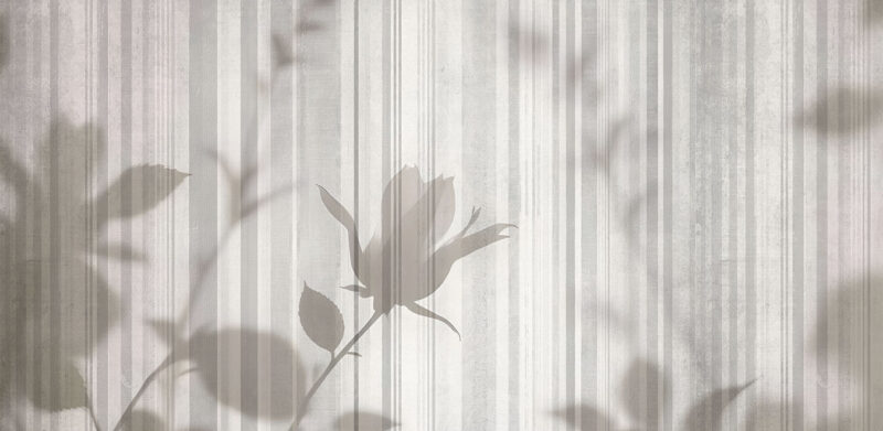 INTRA - immagine 2