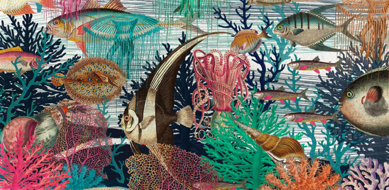 MARINE - immagine 2