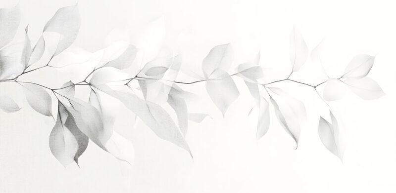 MONO - immagine 2
